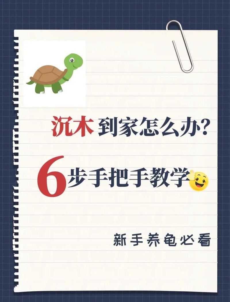 沉木處理后需要消毒嗎？：新買的沉木怎么消毒才科學合理