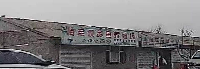 長春龍魚養殖場哪家最好？：長春市眾多花鳥魚市場一覽,周末閑逛好去處奶酥愛吃魚