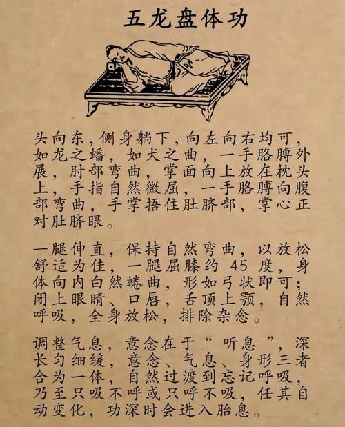 龍魚跳缸怎么辦：龍魚怎么養(yǎng)