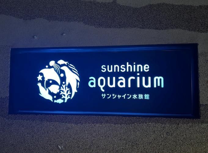 該水族館有哪些代理品牌？：如何成為森森水族館代理