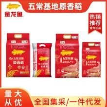 金龍魚原香稻有哪些系列：金龍魚原香稻系列產品