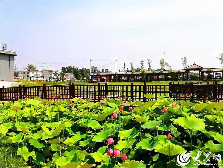 菏澤市還有哪些類似龍魚會館的場所：來菏澤不去這些地方那就虧大了!