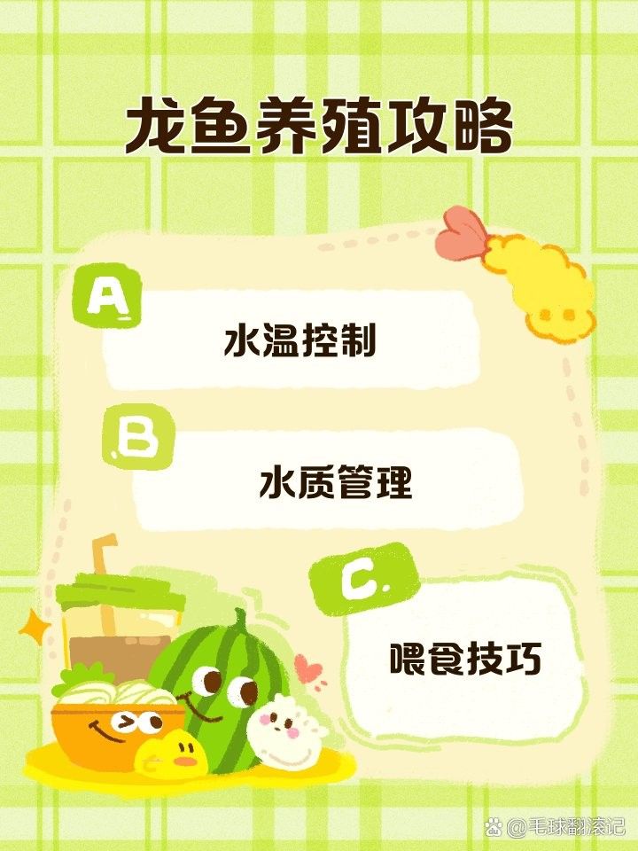 赤瞳黃龍魚有哪些品種：赤瞳黃龍魚養殖攻略毛球翻滾記