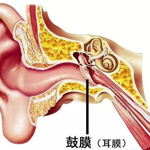 感染型穿孔有哪些癥狀：感染型耳膜穿孔是什么癥狀
