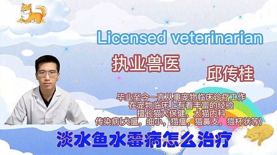 水霉病治療方法：養魚老道