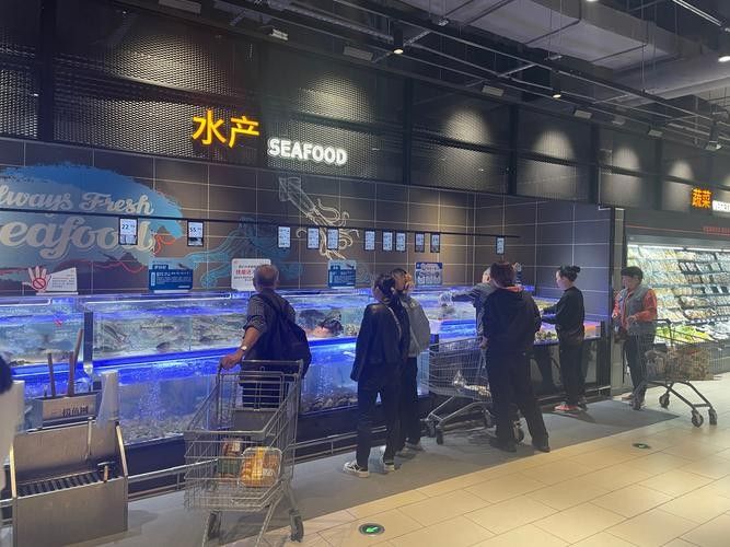 濟南哪個市場賣龍魚最好：濟南華龍水族市場