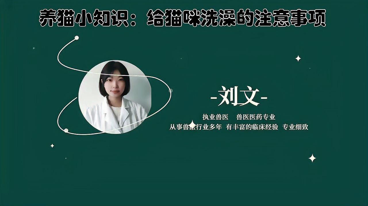 貓洗澡時應注意哪些事項？：給貓咪洗澡的注意事項