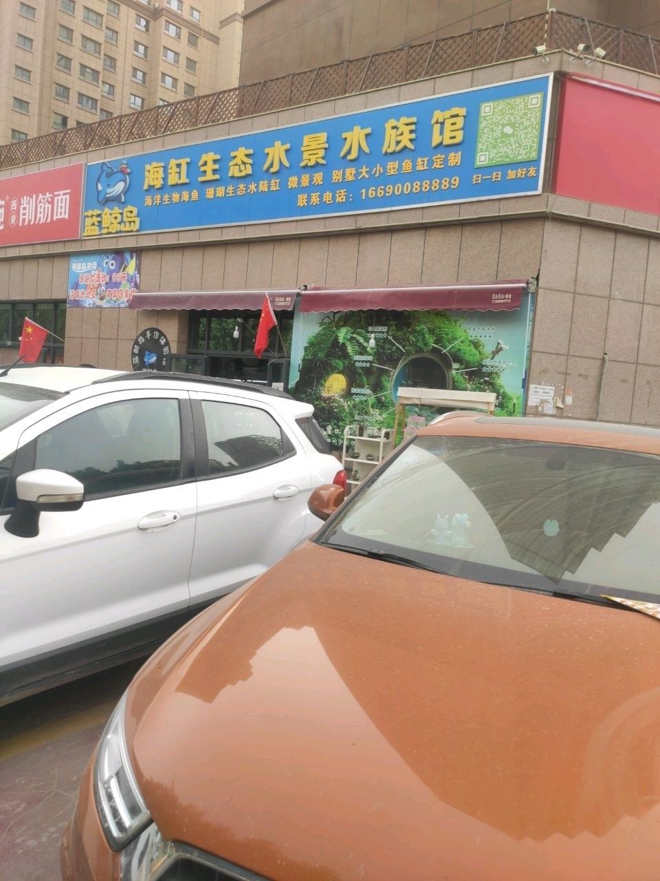 喀什市哪個水族館龍魚好？祥龍魚場龍魚：喀什市水族館提供龍魚相關(guān)服務(wù)或可能銷售龍魚