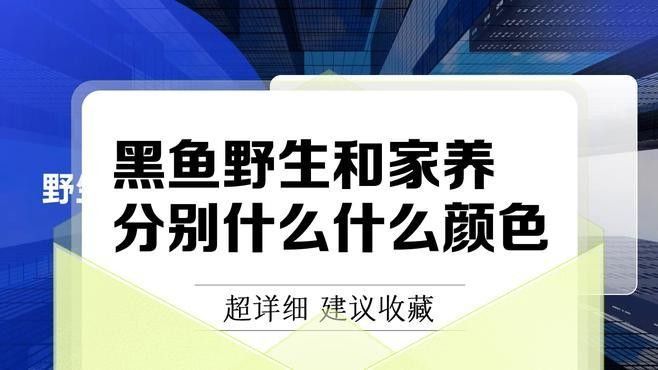 如何鑒別黑龍魚的品相？：共參考3篇資料,01:25辨別野生黑魚的方法