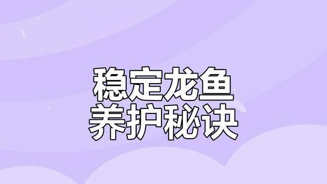 紅龍魚褪色期間需要換水嗎：“風(fēng)水魚”——紅龍魚的養(yǎng)護知識詳解