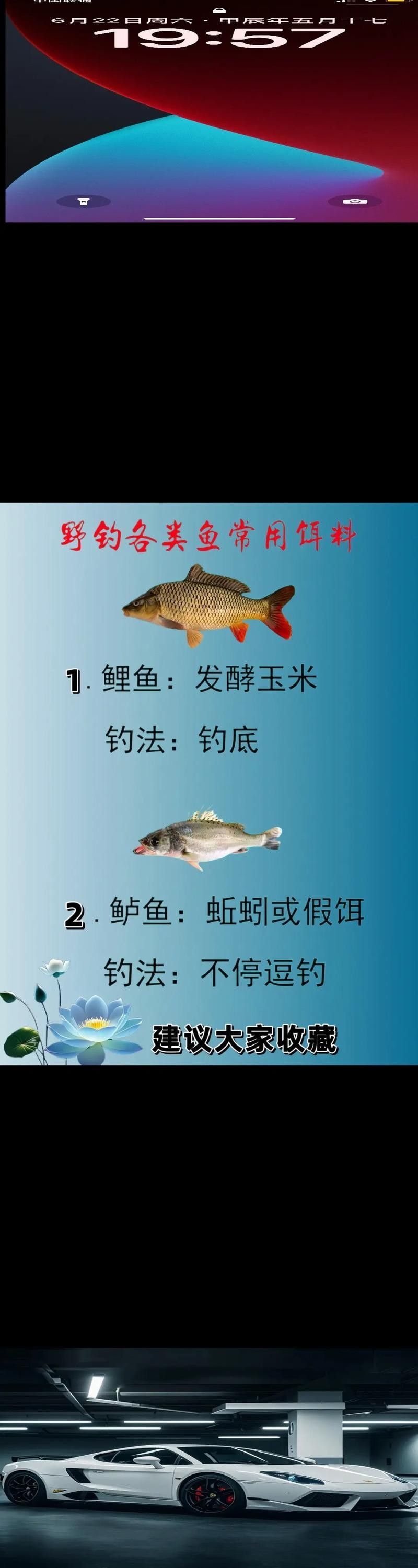 金龍魚餌哪個配方最好？：金龍魚餌的選擇需根據目標魚種、季節和垂釣環境靈活調整