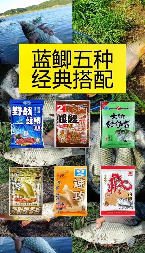 金龍魚餌哪個配方最好？：金龍魚餌的選擇需根據目標魚種、季節和垂釣環境靈活調整