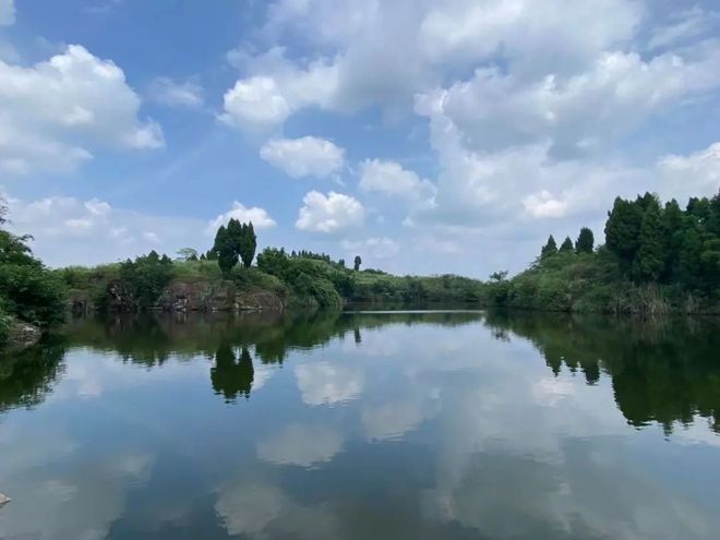 金龍魚餌哪個配方最好？：金龍魚餌的選擇需根據目標魚種、季節和垂釣環境靈活調整