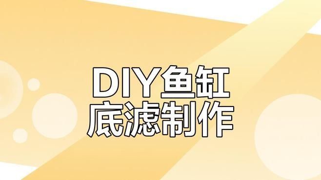 底濾系統(tǒng)如何定制：60缸虹吸底濾制作全攻略