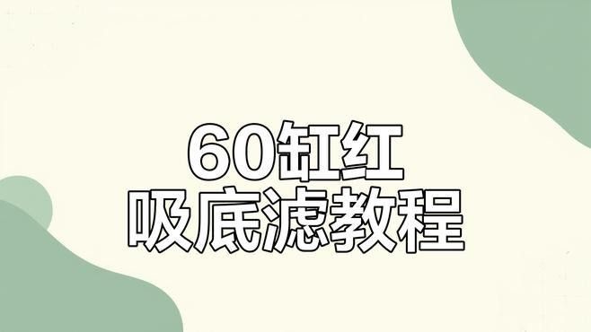 底濾系統(tǒng)如何定制：60缸虹吸底濾制作全攻略