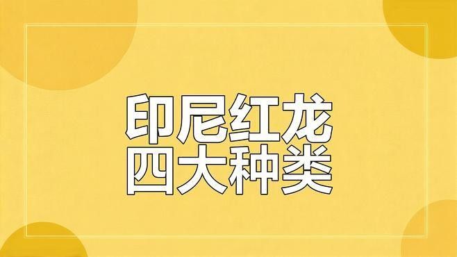 如何區(qū)分超血紅龍和辣椒紅龍？：你是不是不會鑒別龍魚品種