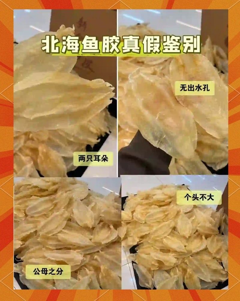 如何辨別真假<strong><mark>北海</mark></strong>金龍魚膠：lv精釀避坑指南:金龍膠怎么選精釀避坑指南