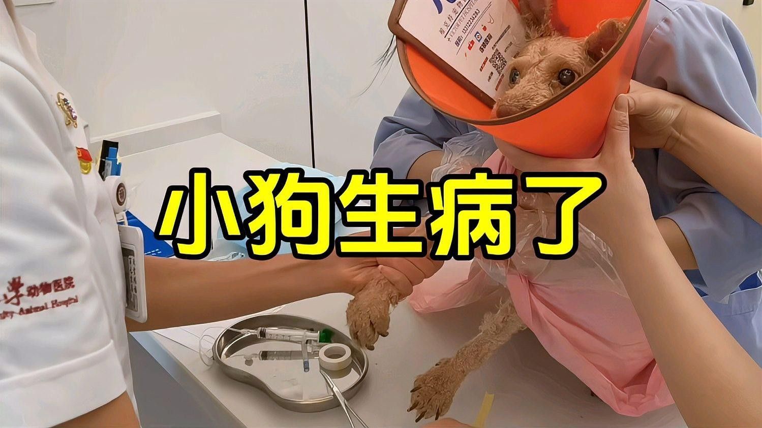 貴陽還有哪些龍魚治療機構：貴陽市與龍魚治療相關機構暫未搜索結果中明確提及12