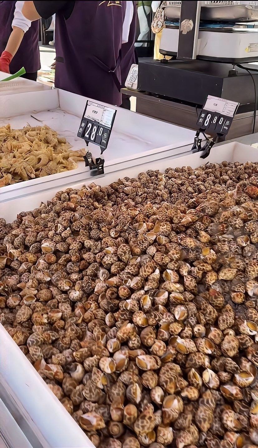 哈爾濱哪家龍魚(yú)商店口碑最好：哈爾濱與龍魚(yú)相關(guān)的商店