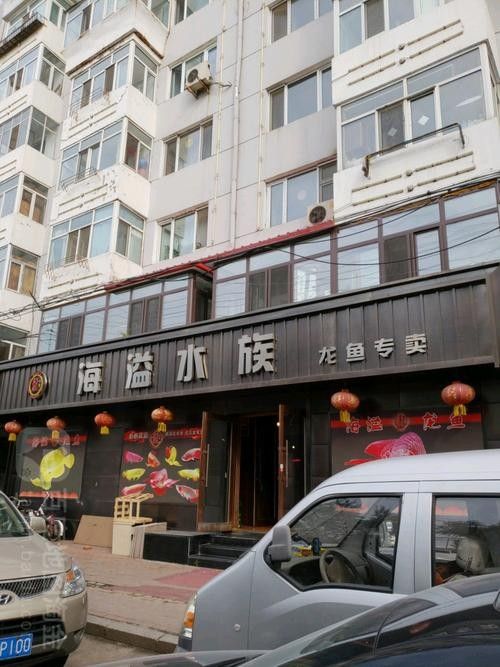 哈爾濱哪家龍魚(yú)商店口碑最好：哈爾濱與龍魚(yú)相關(guān)的商店