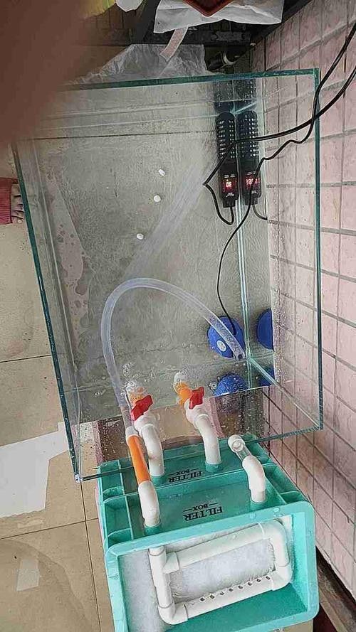 如何保持金龍魚缸內水溫穩(wěn)定：金龍魚最佳水溫控制指南