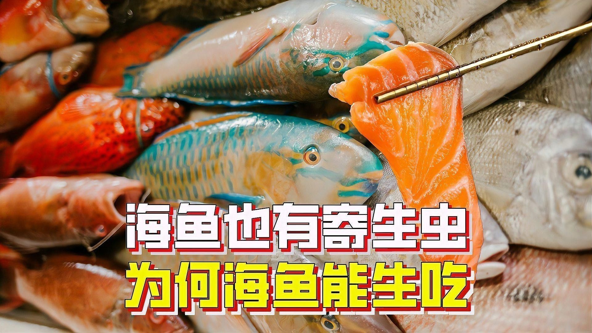 如何區分海魚和淡水魚：海魚和淡水魚有什么區別