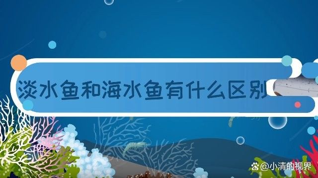 如何區分海魚和淡水魚：海魚和淡水魚有什么區別