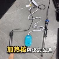 如何選擇合適的加熱棒？：大鵬玩咖測評局：魚缸加熱棒選擇指南