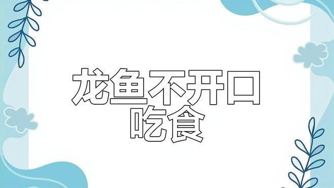 龍魚不開口喂活食怎么辦：養魚小藝，龍魚拒食原因大揭秘，3秒診斷表教你自救倉鼠小助手