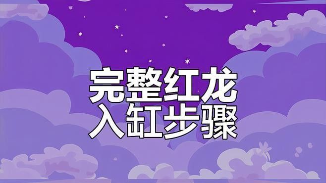 紅龍魚開箱后如何過水：第一次養紅龍魚，有什么需要注意的嗎