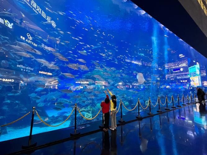 成都龍魚閣水族館的營業時間是？：成都龍魚閣水族館怎么樣