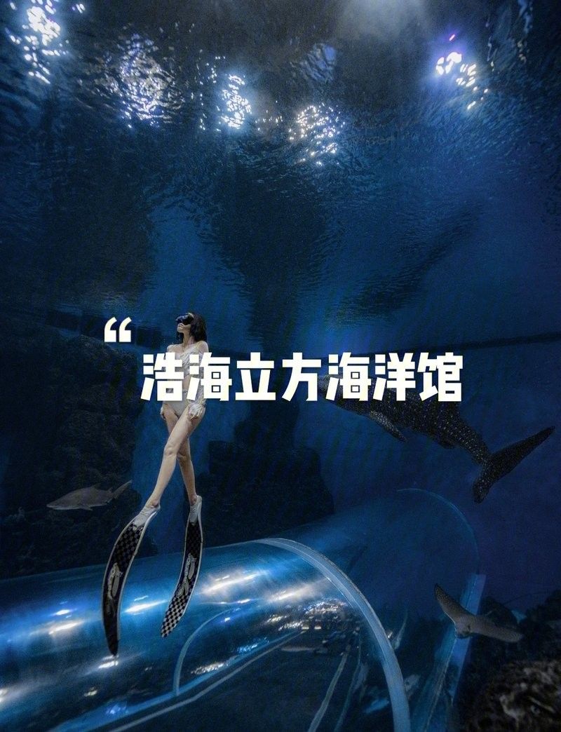 成都龍魚閣水族館的營業時間是？：成都龍魚閣水族館怎么樣