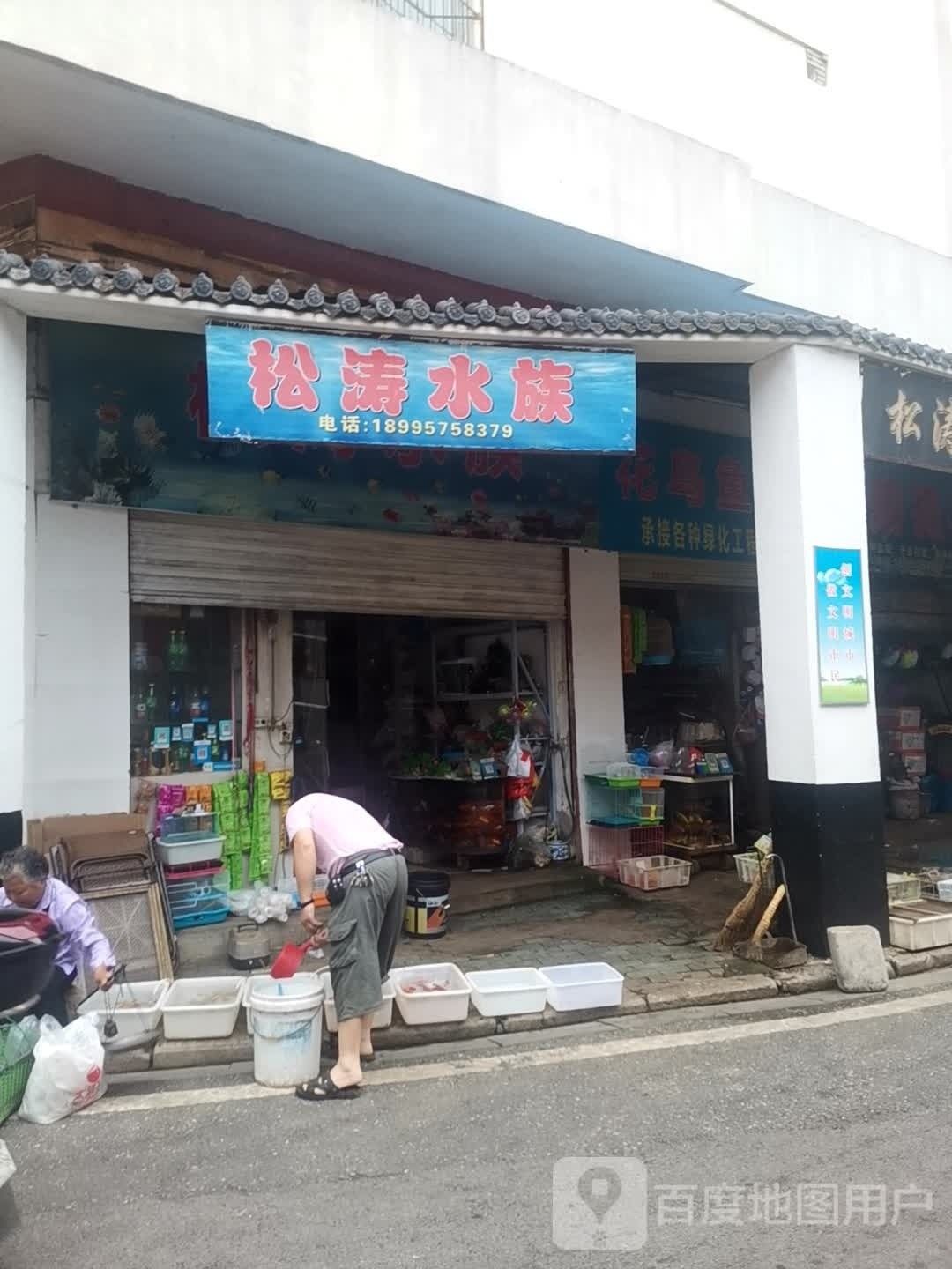 黃岡還有哪些水族館：湖北省黃岡市各區(qū)縣的水族館
