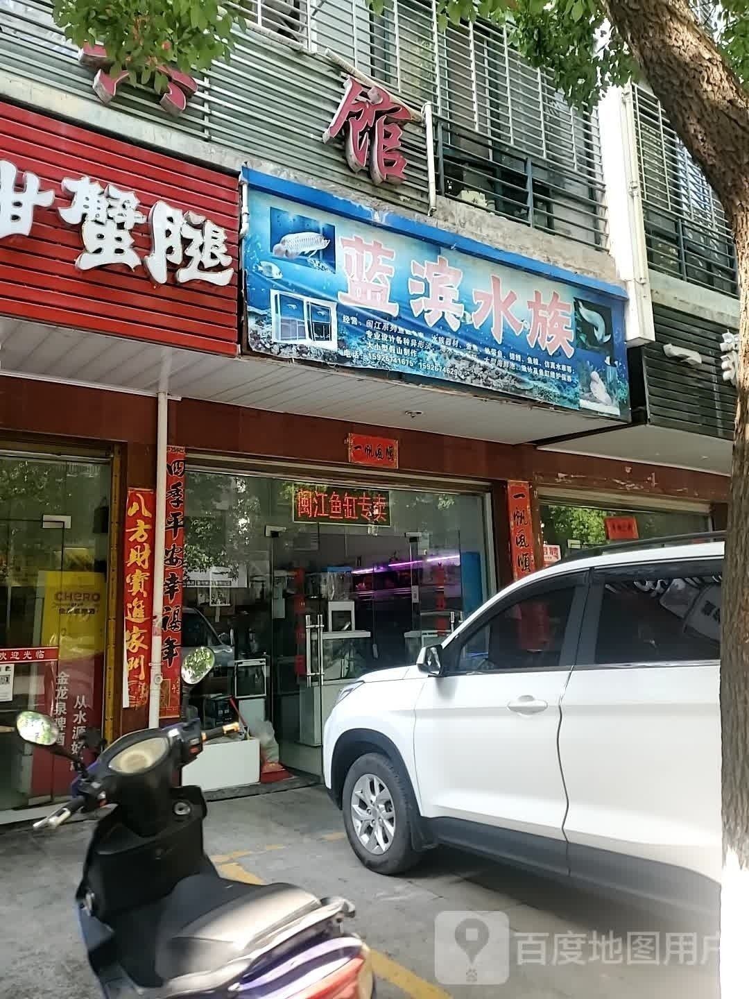 黃岡還有哪些水族館：湖北省黃岡市各區(qū)縣的水族館