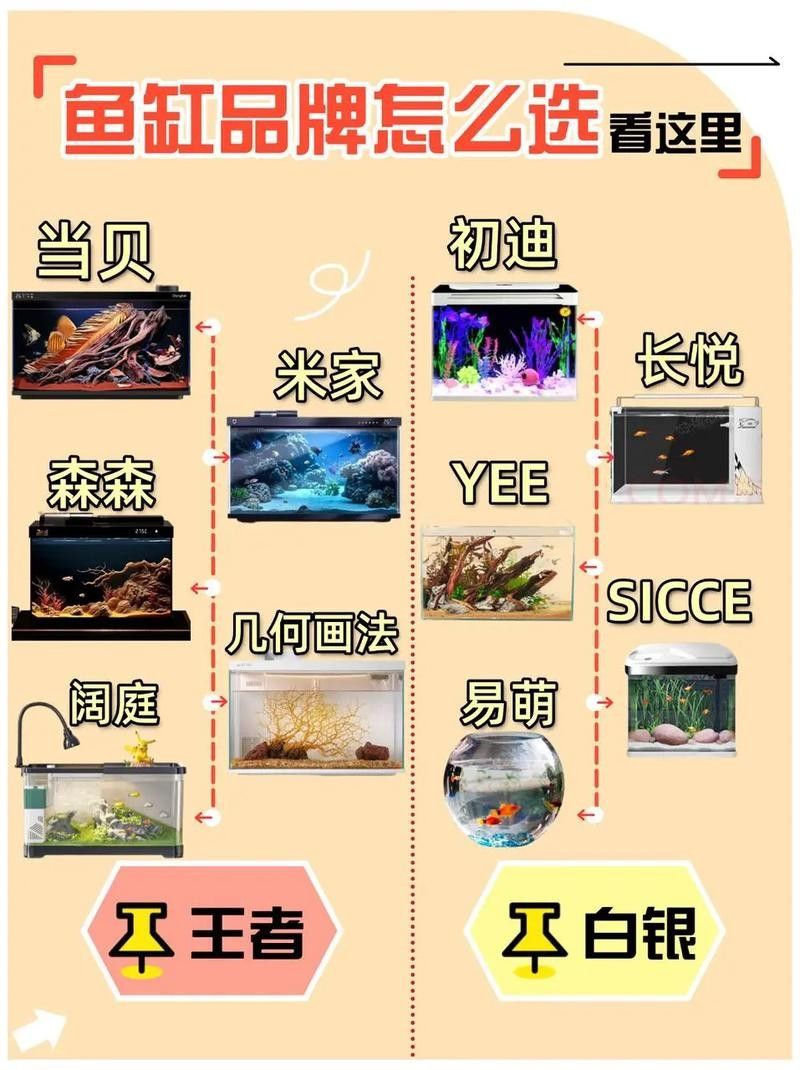 仟湖和森森的價格差異大嗎？：仟湖和森森哪個牌子好魚缸性價比高性價比魚缸選購指南