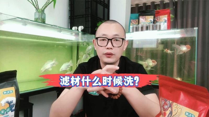 清洗濾材時需要注意什么？：養魚說，魚缸濾材能清洗嗎 清洗濾材時需要注意什么？：養魚說，魚缸濾材能清洗嗎 龍魚百科 第8張