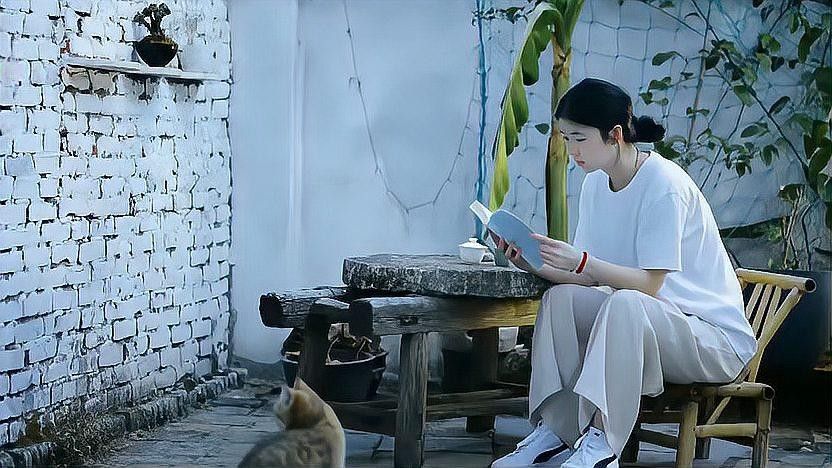 哪里可以找到更多中國龍動態(tài)視頻：中國龍動態(tài)視頻來源