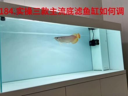 80缸養(yǎng)龍魚(yú)需要多大的過(guò)濾：80厘米長(zhǎng)的魚(yú)缸養(yǎng)龍魚(yú)需要多大功率的過(guò)濾類(lèi)型并使用
