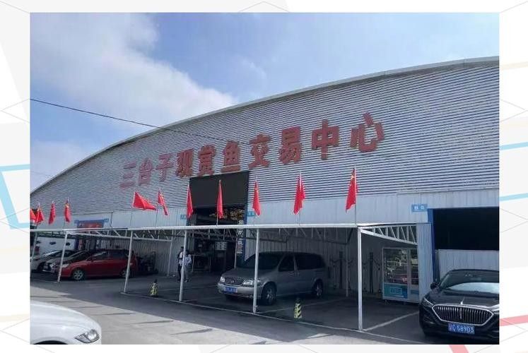 如何聯(lián)系鞍山的水族商家？：全面振興鋼都，鞍山眾鑫水族每周魚集