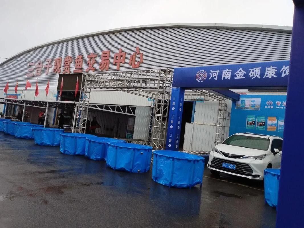如何聯(lián)系鞍山的水族商家？：全面振興鋼都，鞍山眾鑫水族每周魚集