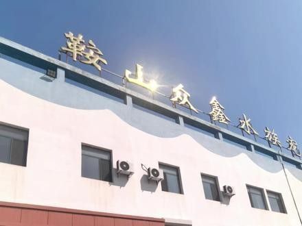 如何聯(lián)系鞍山的水族商家？：全面振興鋼都，鞍山眾鑫水族每周魚集