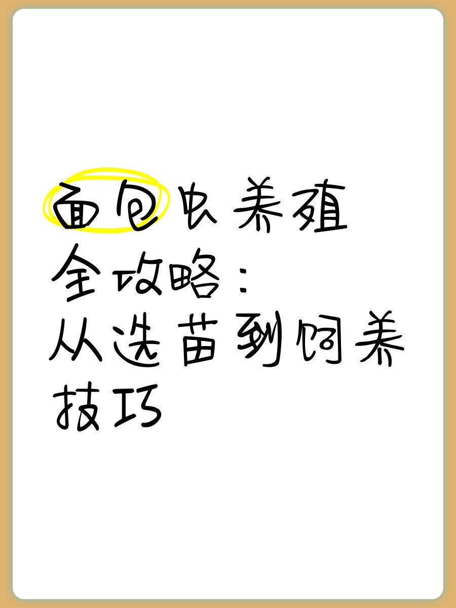面包蟲多久清洗消毒一次？：面包蟲養(yǎng)殖清洗消毒頻率需根據(jù)養(yǎng)殖規(guī)模和環(huán)境條件調(diào)整