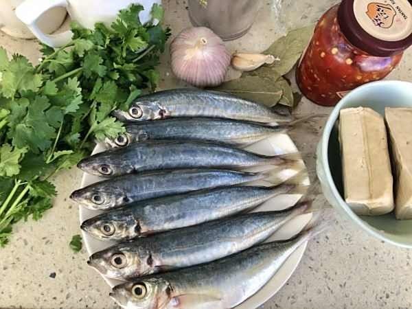 巴浪魚有哪些烹飪方法？：海邊人最愛吃的巴浪魚，三種做法大揭秘，家常小菜一道，花費不超過10塊錢