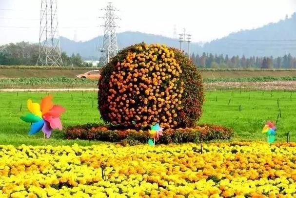 南海花卉博覽園的營業(yè)時間是？：佛山南海花卉博覽園全年無休開放時間為周一至周日全天24小時