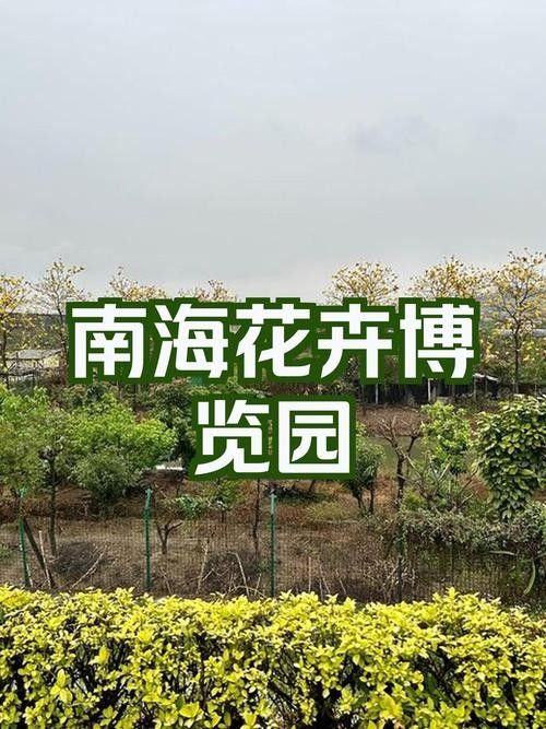 南海花卉博覽園的營業(yè)時間是？：佛山南海花卉博覽園全年無休開放時間為周一至周日全天24小時