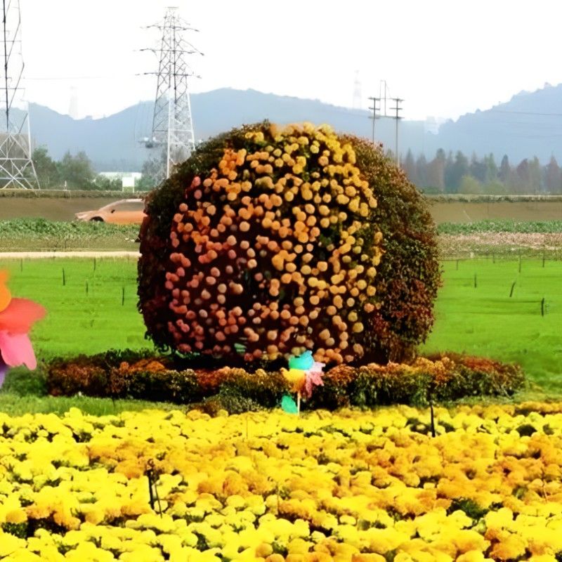 南海花卉博覽園的營業(yè)時間是？：佛山南海花卉博覽園全年無休開放時間為周一至周日全天24小時