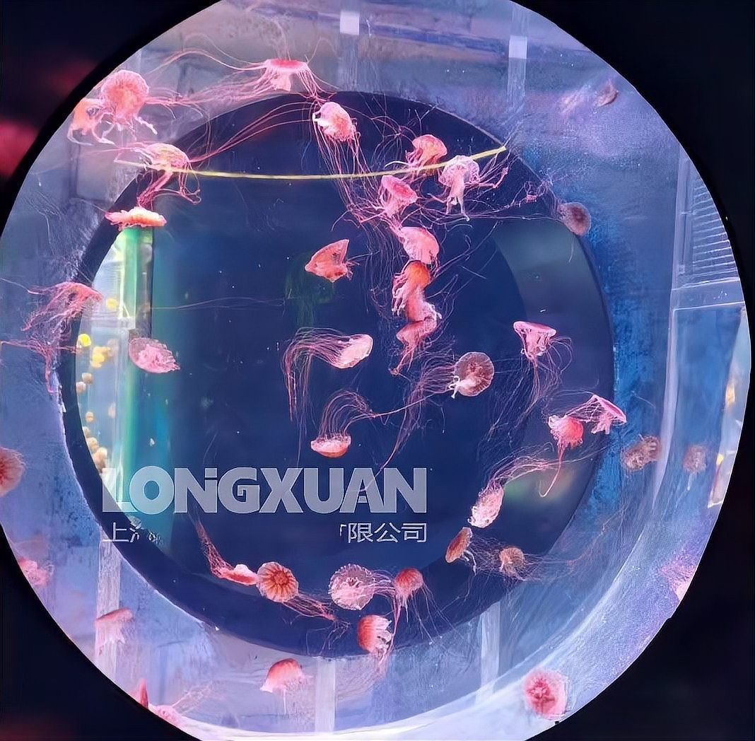 如何清潔和維護(hù)龍魚缸壁紙：亞克力魚缸定制的魚缸背景如何更換維護(hù)流程