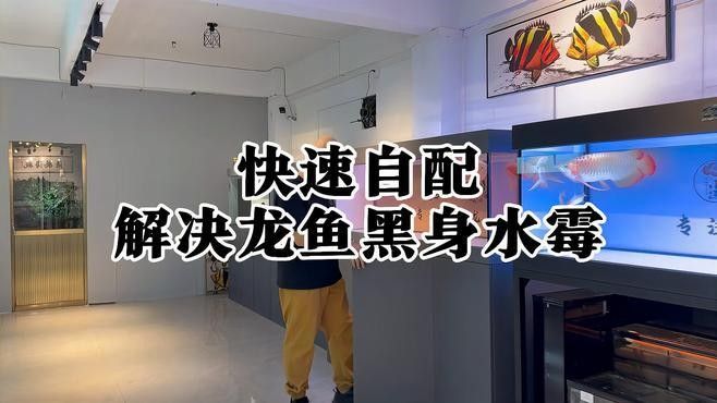 龍魚黑身松鱗綜合癥如何治療？：龍魚黑身松鱗綜合癥怎么辦 龍魚黑身松鱗綜合癥如何治療？：龍魚黑身松鱗綜合癥怎么辦 龍魚百科 第1張