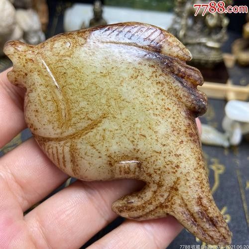 古龍魚圖片高清大圖：古龍魚的高清圖片資源