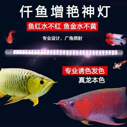 紅龍魚燈哪個品牌最好？：龍魚用的燈管怎么選!
